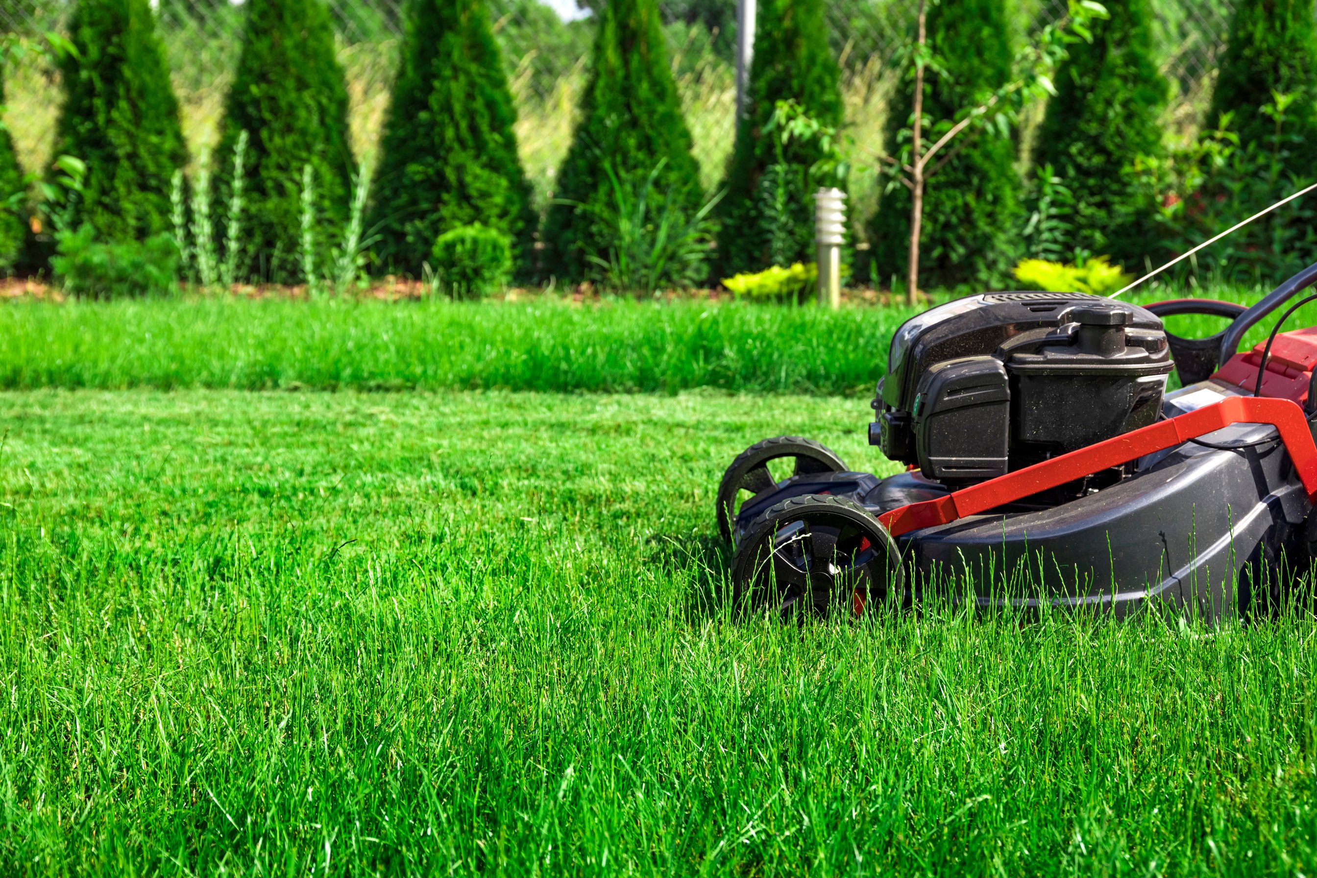 Mowing lawn