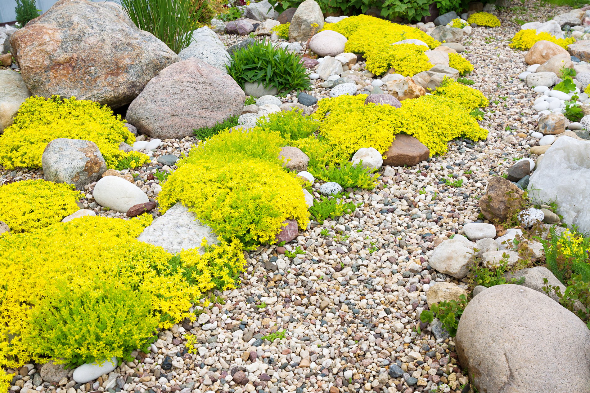 rockery rock garden