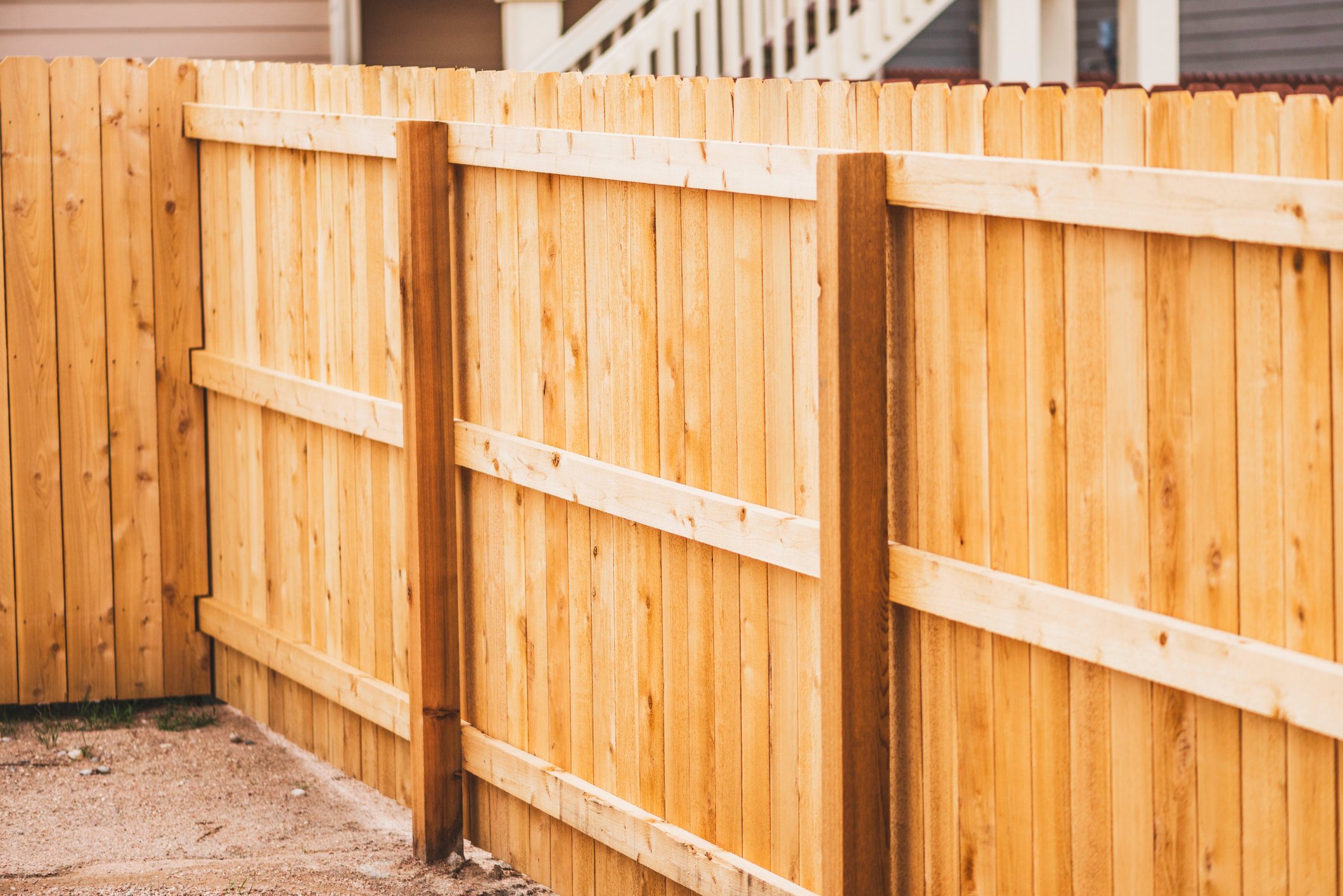 Newly installed fencing in back yard